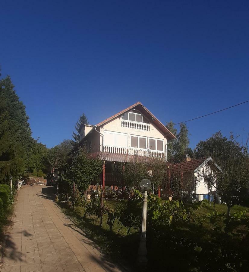 Aleksandar Vila Br Vrdnik Exterior photo