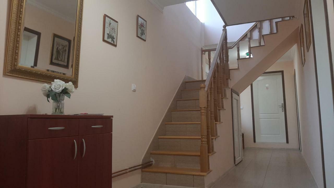 Aleksandar Vila Br Vrdnik Exterior photo